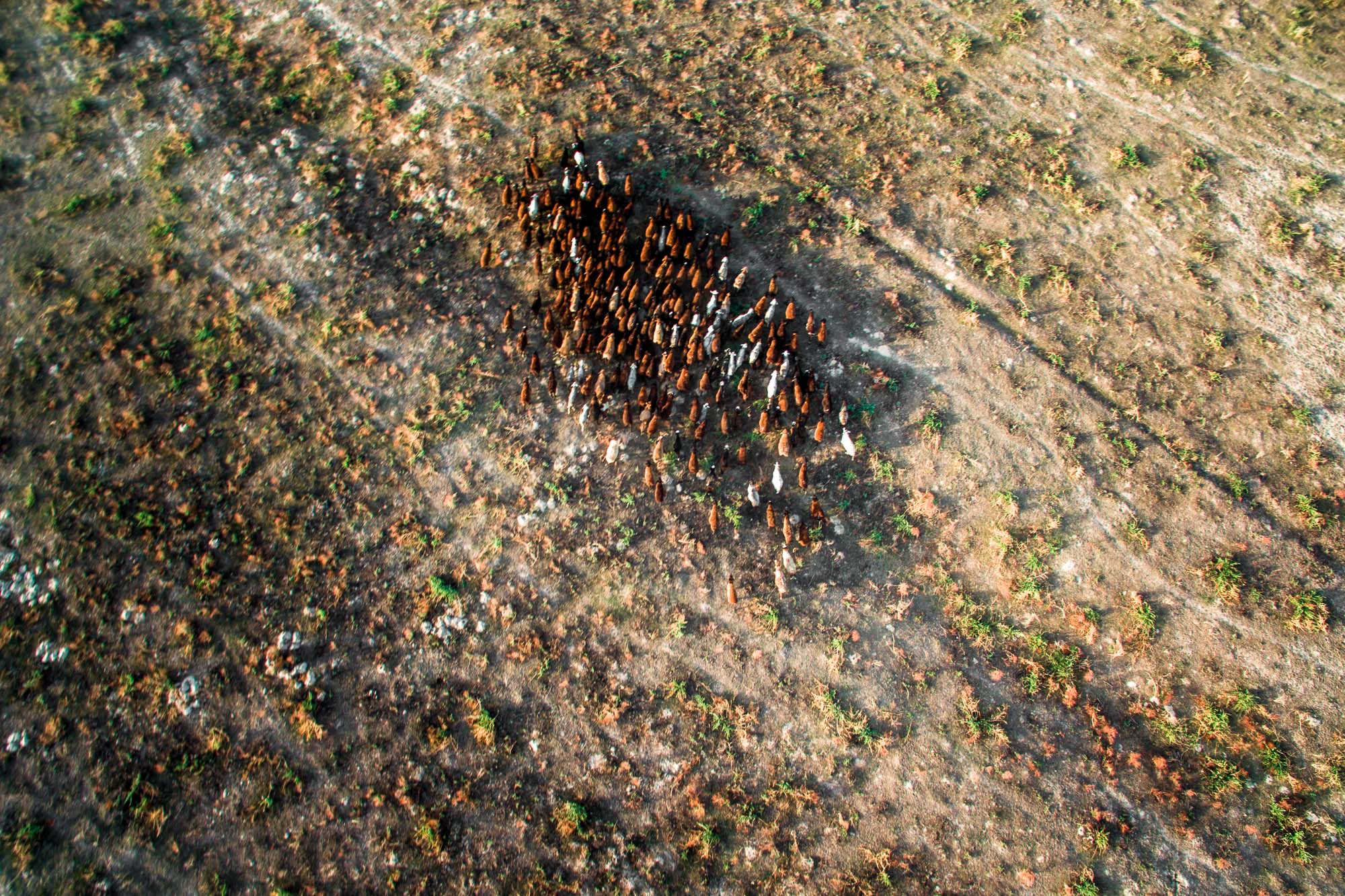 Charyn (Чарынский каньон)